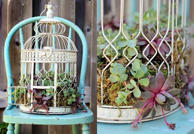 sadzače-mimo-izbový-rastliny-ošarpaný-elegantný-záhradná dekorácia-klietka