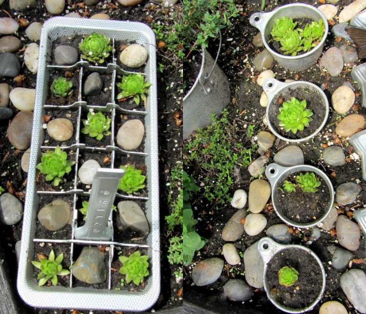 kvetináče-mimo-izbový-rastliny-ľad-kocka-tvar-poháre-hliník