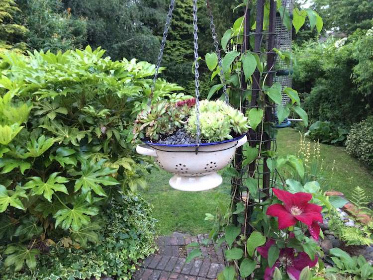 plantážnik-mimo-izbový-rastlina-závesný-kôš-sito-staré-veci