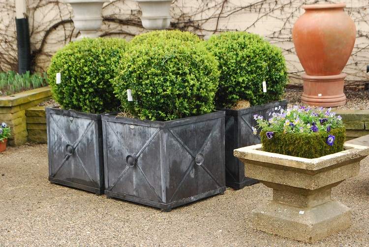 Sadzač-drevený-rododendron-nápady-malý