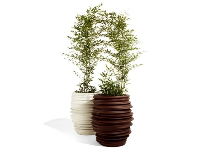 Sadzače hnedých a bielych stromov vysádzajú skvelý nápad rastlina biele stromy chladný nápad dizajn záhrada