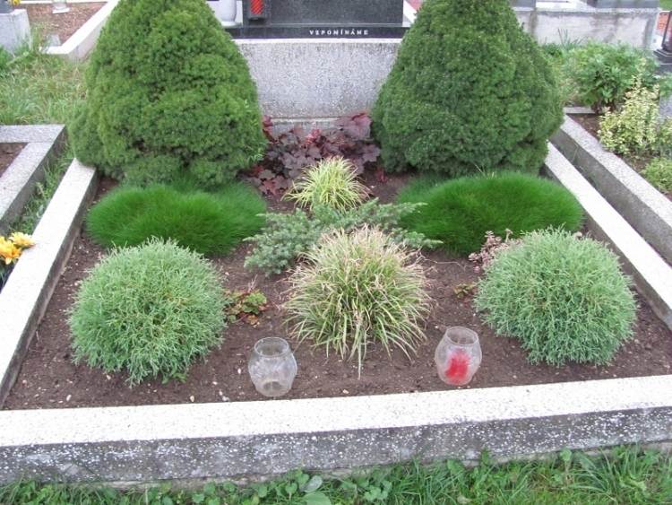 vždyzelený pôdny kryt pre tienisté a čiastočne zatienené polohy trvalé výsadby hrobov príklady čiastočný tieň-vždyzelená-medvedia koža-tráva-heuchera-okrasná tráva