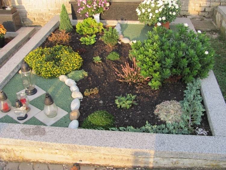 asymetrický dizajn oblasti priekopy - čerešňový vavrín, hviezdicový mach a biele chryzantémy nenáročná starostlivosť-hrob-výsadba-zemný kryt-čiastočný tieň-čerešňový vavrín-hviezdicový mach-chryzantémy