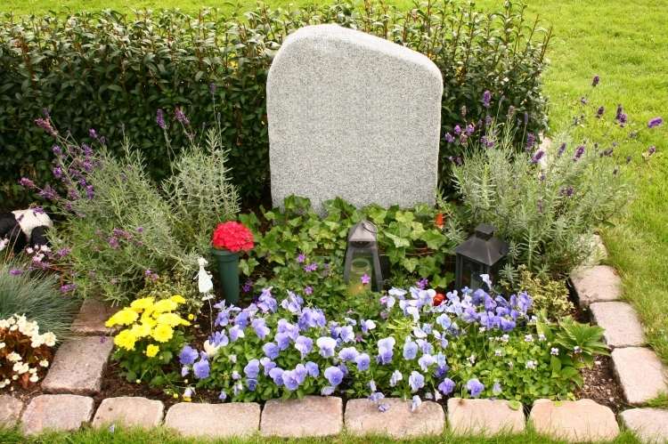 Hrobová výsadba na slnečné miesto - tymian, levanduľa a maceška nenáročná starostlivosť-hrob-výsadba-náhrobok-brečtan-levanduľa-tymian-macešky