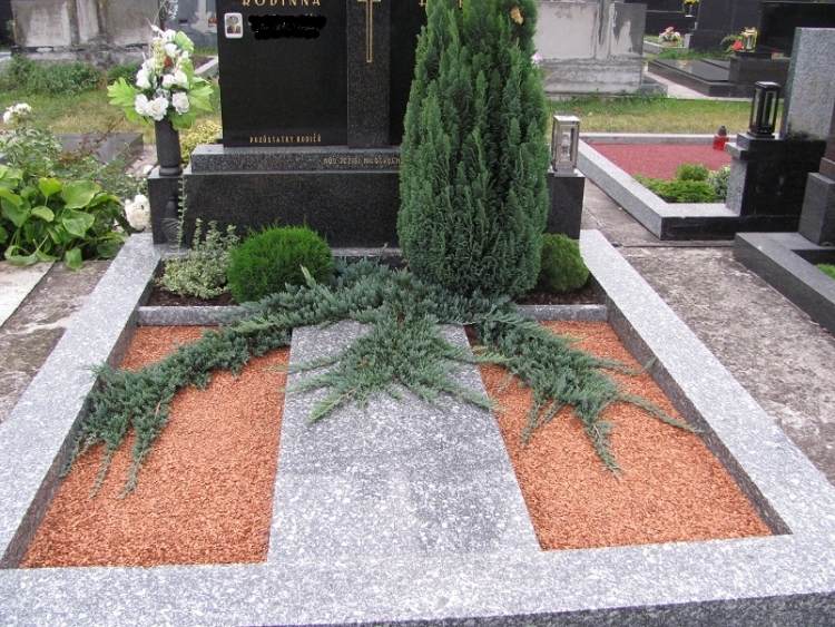 Hrobová výsadba vždyzelenými rastlinami - plazivá borievka, cyprus, hviezdicový mach nenáročná údržba-výsadba hrobov-okrasný štrk-pomaranč-ihličnany-plazivá borievka-náhrobok