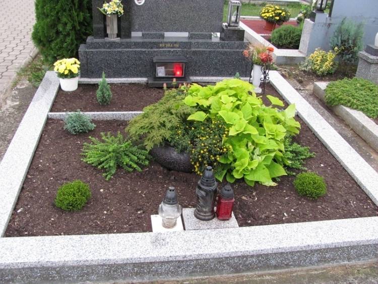 sezónne rastliny v miskách - chryzantémy a pôdny pokryv - Mühlenbeckie nenáročná starostlivosť o sadenie hrobov-penumbra-muehlenbeckie-hortenzie