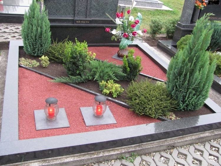 Evergreeny a ihličnany - cyprusy, borievka plazivá, Mühlenbeckie nenáročná starostlivosť-hrob-výsadba-rám-rastliny-ihličnany-borievky-vždyzelené rastliny