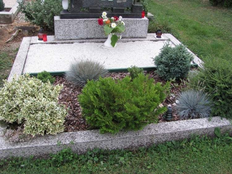 Ľahko ošetrujúce druhy rastlín - ihličnany, vretenica, kostrava modrá ľahká starostlivosť-hrob-výsadba-rám-ihličnany-okrasná tráva-mulčovanie-vretenica-modrá kostrava