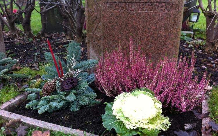 Odolné rastliny na výsadbu hrobov - okrasná kapusta, vres obyčajný a zelené vetvičky nenáročná starostlivosť o sadenie hrobov vytrvalá kaluna vulgárna kapusta zelené vetvičky náhrobný kameň