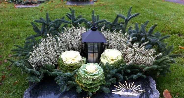 ozdobná a ľahko udržiavateľná výsadba hrobov od jari do zimy Hrobová výsadba zimný rám okrasná kapusta eriken weiss gruenzweige