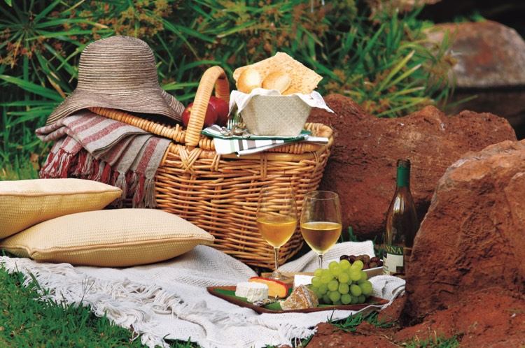 piknik pre zamilované recepty piknik-recepty-dvaja-milenci-vino-syr-hrozno