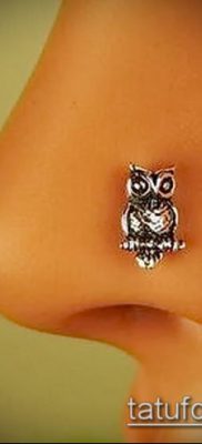 Photo Piercing of the nose (Tattoo Nose Piercing) (value) - example drawing - 061