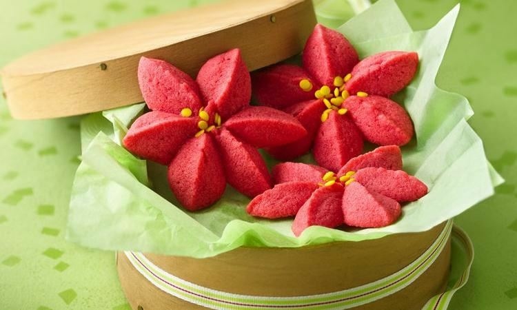 Upečte si vianočnú hviezdu sami nápady chutné sladkosti