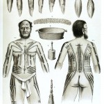 Polinéz tetoválási vázlatok 2