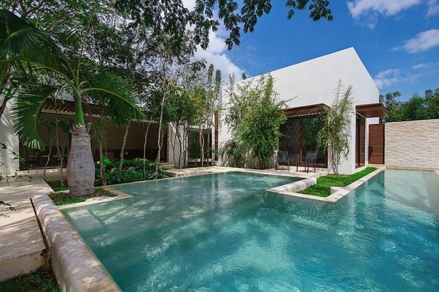 exotické palmy rodinný dom dvor kamenný múr