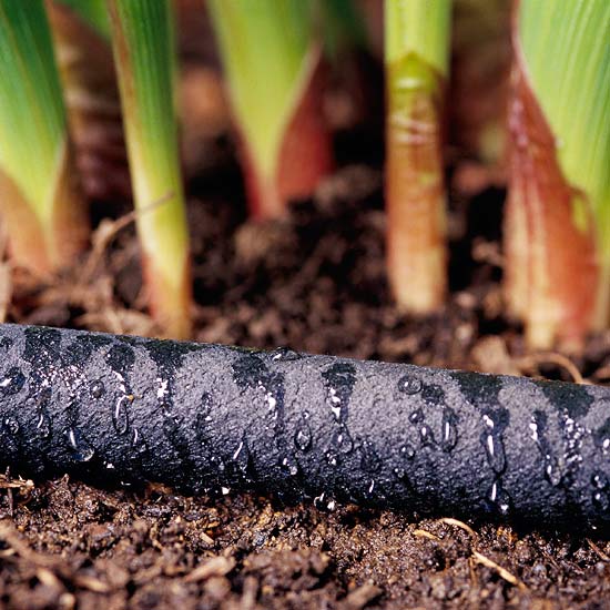 nápady pre záhradu šetria zavlažovanie vody nápady pre záhradu na záchranu zavlažovania vodou