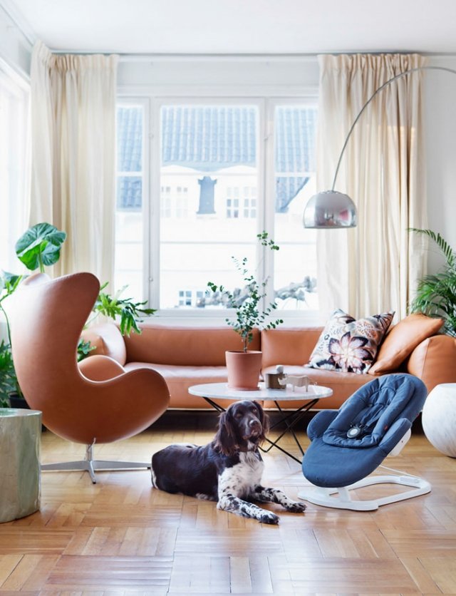 Detský nábytok, schodíky, schody do obývačky, sklopné sedadlo, pes