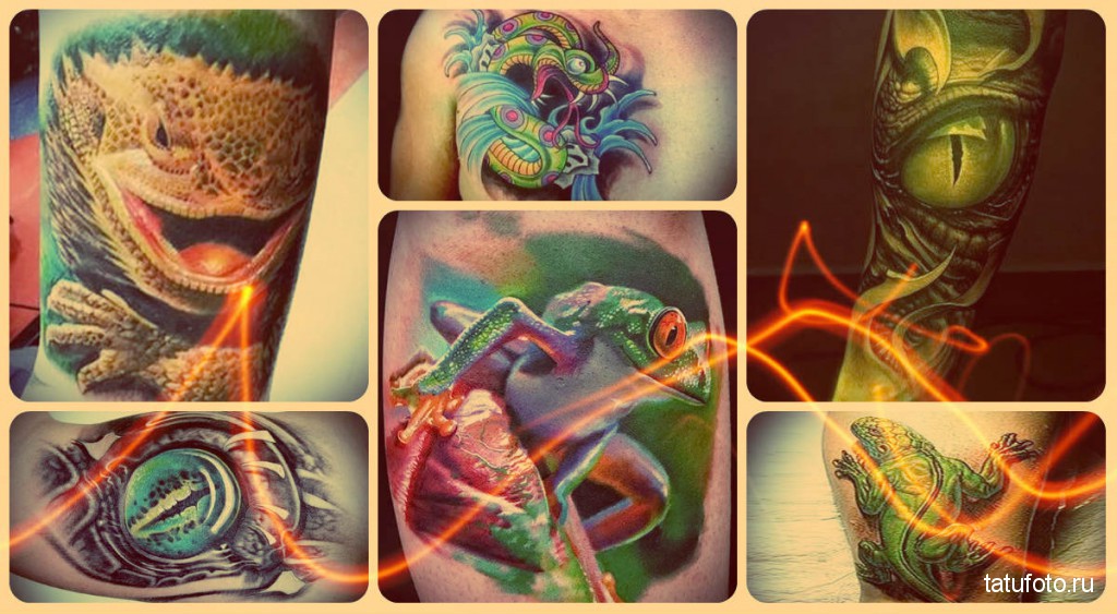 Hüllők a tetoválásban - egy fotó a kész munkák példáiban