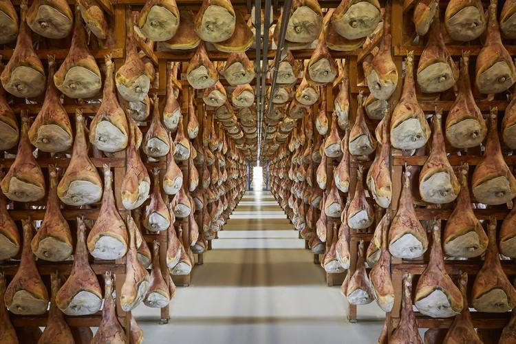 Výrobcovia šunky prosciutto správne skladujú