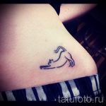 prosty tatuaż dla kota - zdjęcia gotowego tatuażu 02092016 1063 tatufoto.ru