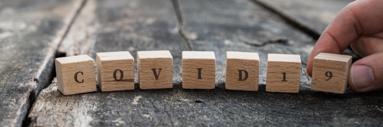 stratégie pre globálnu pandémiu v dôsledku ochorenia covid 19