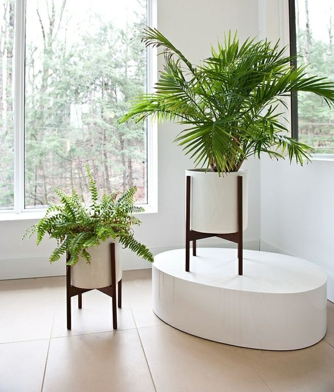 dekorácia bieleho stolového domu