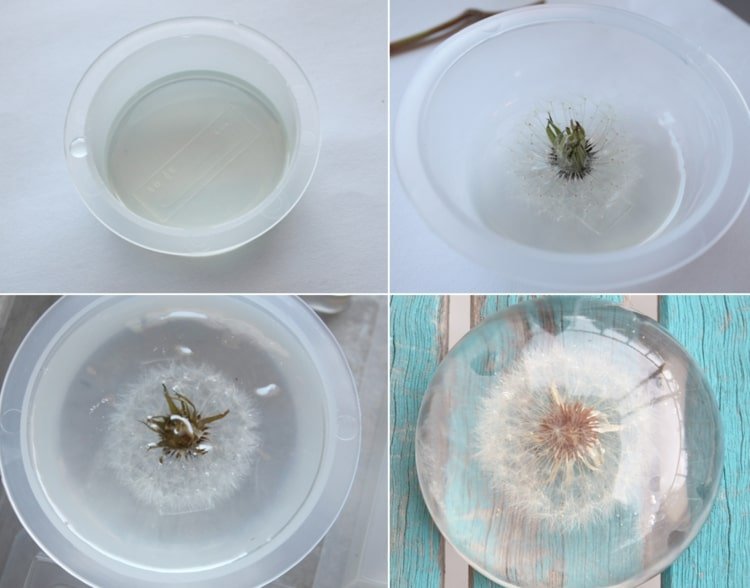 Pokyny pre púpavy odliate v syntetickej živici