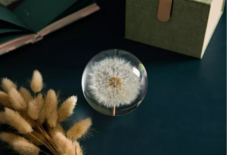 Púpava dekorácia drotár so syntetickou živicou - pekné displeje na rozdávanie