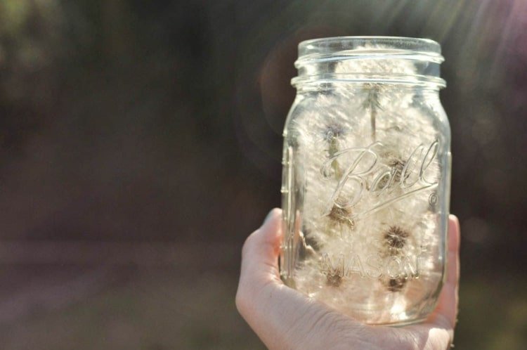 Vyrobte si sami splnenie prianí s púpavou - skombinujte ich s rozprávkovými svetlami a prianiami