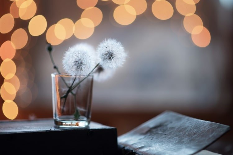 Remeselná výroba z prírodných materiálov - sušené kvety v tégliku