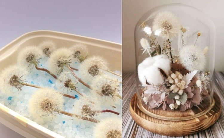 Urobte púpavu trvanlivú s podstielkou pre mačky, ktorá odstráni vlhkosť