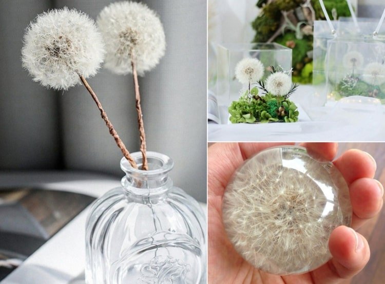 Robiť púpavu trvanlivou - nápady na dekoráciu a darčeky