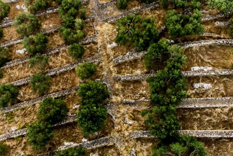 Fotografovanie krajiny pomocou dronu - model, ktorý si vyrobíte sami Zostavte si fotoaparát s kvadrokoptérou sami Nasnímajte fotografie z vtáčej perspektívy