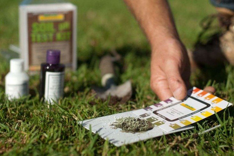 test pôdy na stanovenie hodnoty ph trávnika