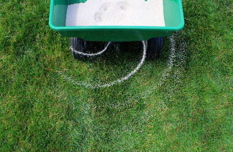 Trávne limety hnojia v kyslej pôde