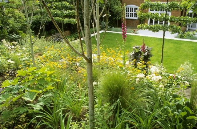 vysaďte trávniky, vytvorte vysoké kríky, ovocné stromy, obrazovky na ochranu súkromia, popínavé rastliny