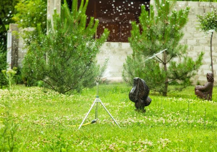 Polievanie trávnikov je užitočnými tipmi na údržbu a prerezávanie