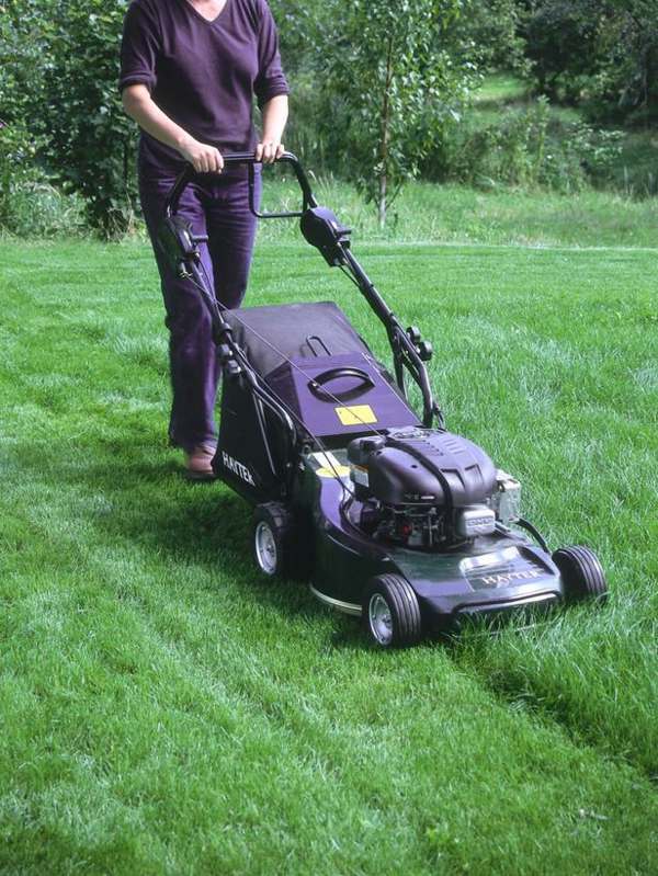 Starostlivosť o trávnik kosenie trávnika Jarné tipy vysekávajú trávu