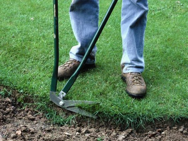 Kosenie trávnika vysekávanie pružiny starostlivosti o trávnik