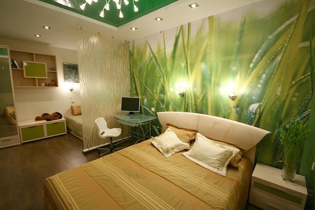 rozdeľovač izieb detská izba paraventné matné sklo fototapeta tráva rozdeľovač izieb-detská izba-paraventné-matné sklo-foto-tapeta-tráva