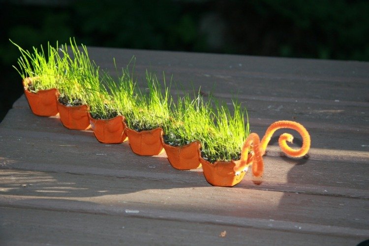 Húsenica ako mini kvetináč húsenica-drotár-vajíčko-box-vajíčko-paleta-rastlina-tráva-príroda-učiť sa deti