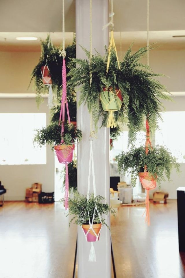 závesné koše macrame záhradné papradie svetlé farby