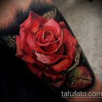 REALISTIC TATTOOS # 898 - готина версия на картината, която може успешно да се използва за трансформиране и прилагане като реалистични татуировки на пеперуди