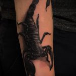 РЕАЛИСТИЧНИ ТАТУИ №333 - изключителна версия на картината, която може успешно да се използва за промяна и приложение като реалистични татуировки на пеперуди