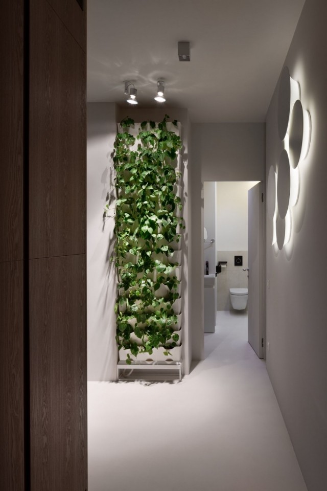 zrekonštruovaný-byt-vnútorná-záhrada-vertikálna-stena-zrkadlo-osvetlené