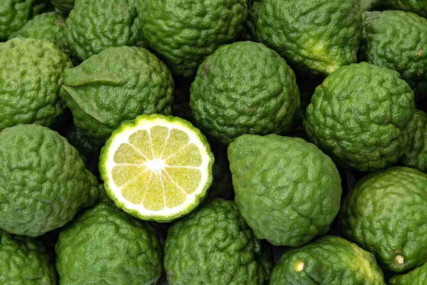Bergamot Citrónová vôňa a chuť citrusového ovocia