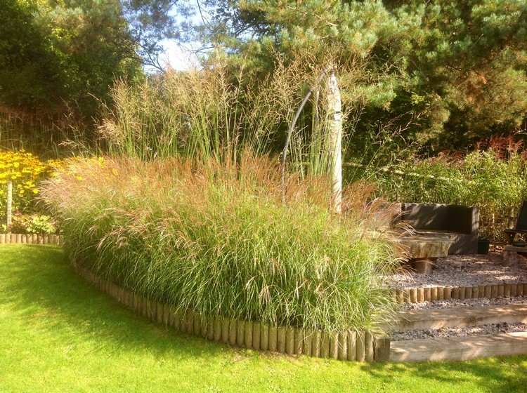 Oddenková bariéra-okrasná-tráva-hraničná-záhrada-dizajn-rastliny