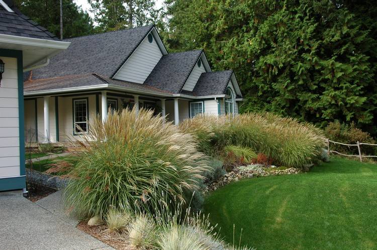 Oddenková bariéra pre bambusové okrasné trávy-koreňová bariéra-dom-záhrada-trávnatá plocha