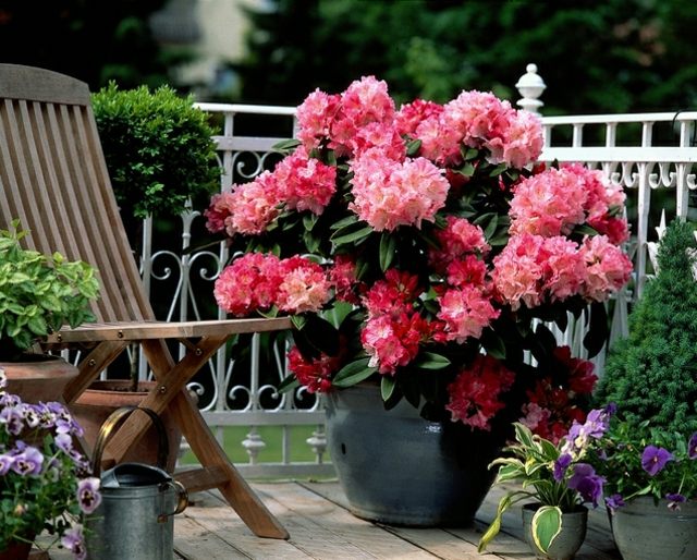 Hrniec v záhrade skvelé nápady dizajn terasa