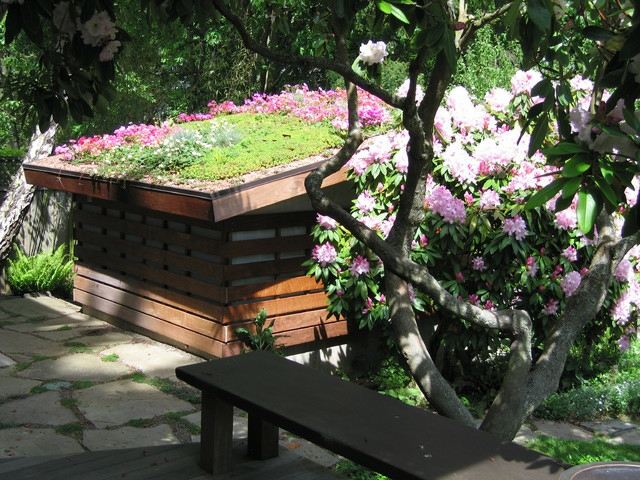 Rhododendron nápady krásne navrhovanie bielych kvetov